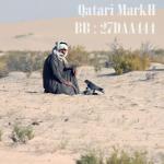   Qatari MarkH